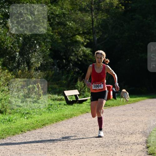 27.09.2026 - 35. Volkslauf durch das schöne Alstertal Dr. Thomas Lammeyer http://msf.ph/oto/10572306 27.09.2026 11:22:54 Laufen 1001 meine-sportfotos.de