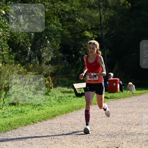 27.09.2026 - 35. Volkslauf durch das schöne Alstertal Dr. Thomas Lammeyer http://msf.ph/oto/10572310 27.09.2026 11:22:54 Laufen  meine-sportfotos.de