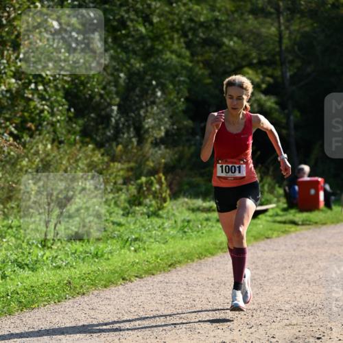 27.09.2026 - 35. Volkslauf durch das schöne Alstertal Dr. Thomas Lammeyer http://msf.ph/oto/10572313 27.09.2026 11:22:54 Laufen 1001 meine-sportfotos.de