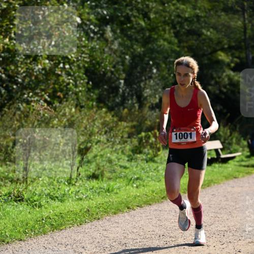 27.09.2026 - 35. Volkslauf durch das schöne Alstertal Dr. Thomas Lammeyer http://msf.ph/oto/10572315 27.09.2026 11:22:55 Laufen 1001 meine-sportfotos.de
