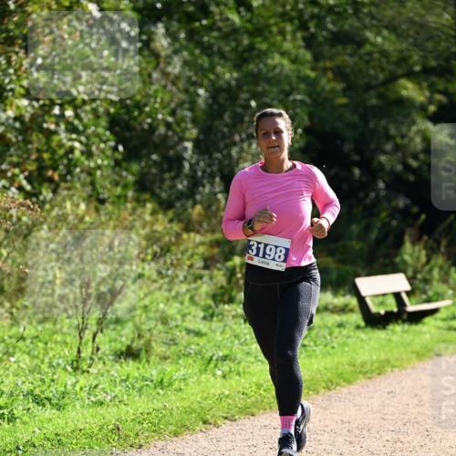 27.09.2026 - 35. Volkslauf durch das schöne Alstertal Dr. Thomas Lammeyer http://msf.ph/oto/10572329 27.09.2026 11:23:18 Laufen 3198 meine-sportfotos.de