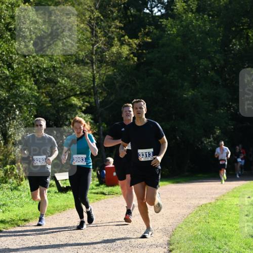 27.09.2026 - 35. Volkslauf durch das schöne Alstertal Dr. Thomas Lammeyer http://msf.ph/oto/10572354 27.09.2026 11:23:24 Laufen 3293, 3983, 3313 meine-sportfotos.de