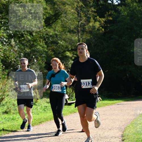 27.09.2026 - 35. Volkslauf durch das schöne Alstertal Dr. Thomas Lammeyer http://msf.ph/oto/10572361 27.09.2026 11:23:25 Laufen 3293, 3983, 3313 meine-sportfotos.de