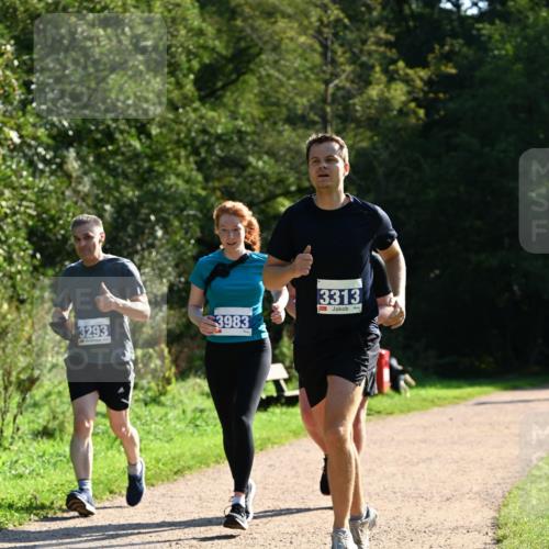 27.09.2026 - 35. Volkslauf durch das schöne Alstertal Dr. Thomas Lammeyer http://msf.ph/oto/10572362 27.09.2026 11:23:25 Laufen 3293, 3983, 3313 meine-sportfotos.de