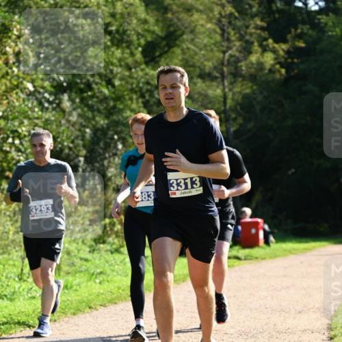 27.09.2026 - 35. Volkslauf durch das schöne Alstertal Dr. Thomas Lammeyer http://msf.ph/oto/10572366 27.09.2026 11:23:26 Laufen 3293, 83, 3313 meine-sportfotos.de