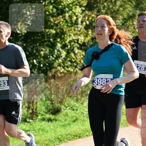 27.09.2026 - 35. Volkslauf durch das schöne Alstertal Dr. Thomas Lammeyer http://msf.ph/oto/10572378 27.09.2026 11:23:27 Laufen 293, 3982, 28 meine-sportfotos.de
