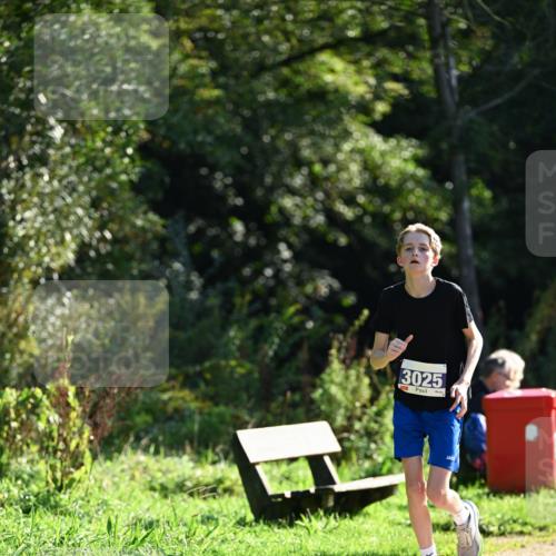 27.09.2026 - 35. Volkslauf durch das schöne Alstertal Dr. Thomas Lammeyer http://msf.ph/oto/10572411 27.09.2026 11:23:34 Laufen 3025 meine-sportfotos.de