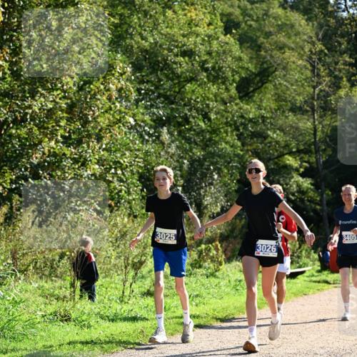 27.09.2026 - 35. Volkslauf durch das schöne Alstertal Dr. Thomas Lammeyer http://msf.ph/oto/10572427 27.09.2026 11:23:36 Laufen 3025, 3026, 3405 meine-sportfotos.de