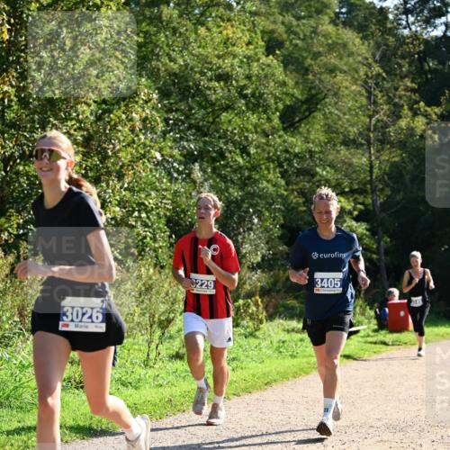 27.09.2026 - 35. Volkslauf durch das schöne Alstertal Dr. Thomas Lammeyer http://msf.ph/oto/10572439 27.09.2026 11:23:38 Laufen 3026, 229, 3405 meine-sportfotos.de