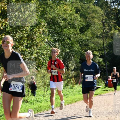 27.09.2026 - 35. Volkslauf durch das schöne Alstertal Dr. Thomas Lammeyer http://msf.ph/oto/10572441 27.09.2026 11:23:38 Laufen 3026, 3229, 3405, 5145 meine-sportfotos.de