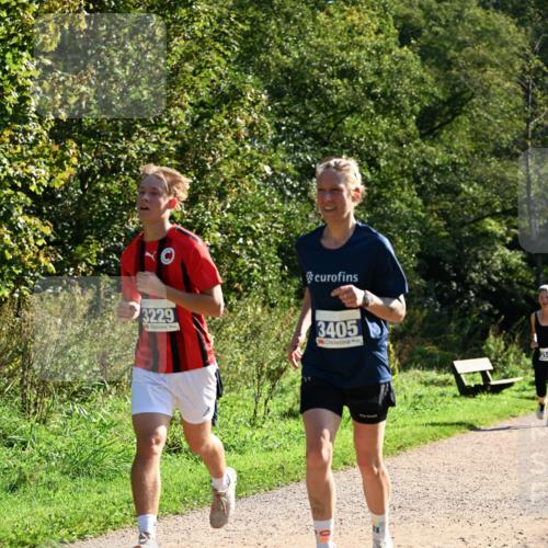 27.09.2026 - 35. Volkslauf durch das schöne Alstertal Dr. Thomas Lammeyer http://msf.ph/oto/10572446 27.09.2026 11:23:39 Laufen 3229, 3405, 314 meine-sportfotos.de