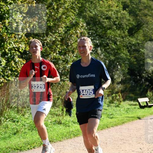 27.09.2026 - 35. Volkslauf durch das schöne Alstertal Dr. Thomas Lammeyer http://msf.ph/oto/10572448 27.09.2026 11:23:39 Laufen 3229, 3405 meine-sportfotos.de