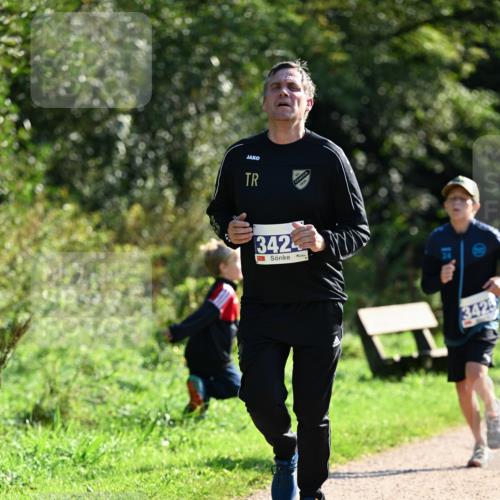 27.09.2026 - 35. Volkslauf durch das schöne Alstertal Dr. Thomas Lammeyer http://msf.ph/oto/10572479 27.09.2026 11:23:47 Laufen 342, 3425 meine-sportfotos.de