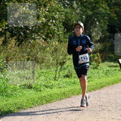 27.09.2026 - 35. Volkslauf durch das schöne Alstertal Dr. Thomas Lammeyer http://msf.ph/oto/10572496 27.09.2026 11:23:50 Laufen 24, 3425 meine-sportfotos.de