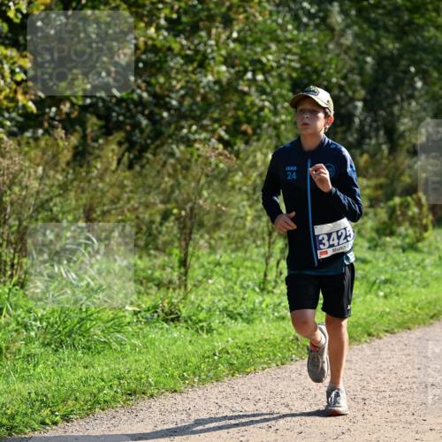 27.09.2026 - 35. Volkslauf durch das schöne Alstertal Dr. Thomas Lammeyer http://msf.ph/oto/10572499 27.09.2026 11:23:50 Laufen 24, 3425 meine-sportfotos.de