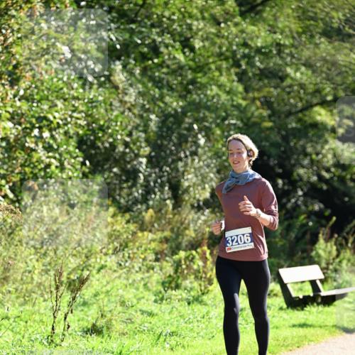 27.09.2026 - 35. Volkslauf durch das schöne Alstertal Dr. Thomas Lammeyer http://msf.ph/oto/10572605 27.09.2026 11:24:14 Laufen 3206 meine-sportfotos.de