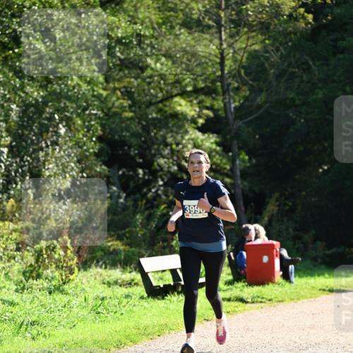 27.09.2026 - 35. Volkslauf durch das schöne Alstertal Dr. Thomas Lammeyer http://msf.ph/oto/10572617 27.09.2026 11:24:16 Laufen 3990 meine-sportfotos.de