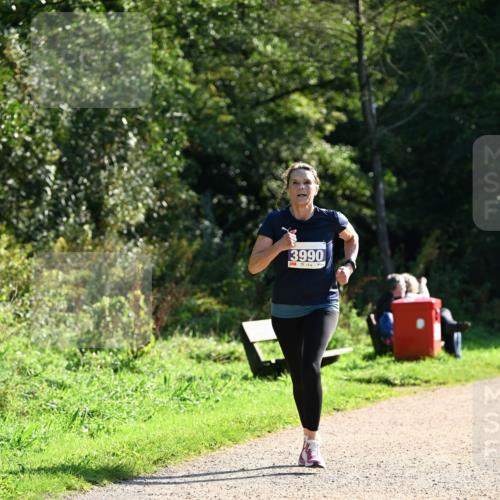 27.09.2026 - 35. Volkslauf durch das schöne Alstertal Dr. Thomas Lammeyer http://msf.ph/oto/10572620 27.09.2026 11:24:16 Laufen 3990 meine-sportfotos.de