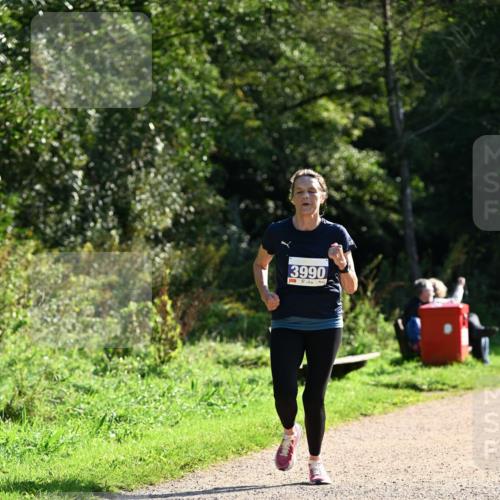 27.09.2026 - 35. Volkslauf durch das schöne Alstertal Dr. Thomas Lammeyer http://msf.ph/oto/10572622 27.09.2026 11:24:17 Laufen 3990 meine-sportfotos.de