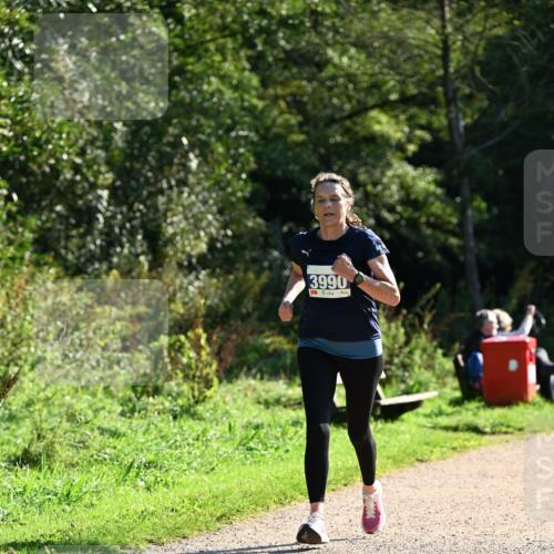 27.09.2026 - 35. Volkslauf durch das schöne Alstertal Dr. Thomas Lammeyer http://msf.ph/oto/10572624 27.09.2026 11:24:17 Laufen 3990 meine-sportfotos.de