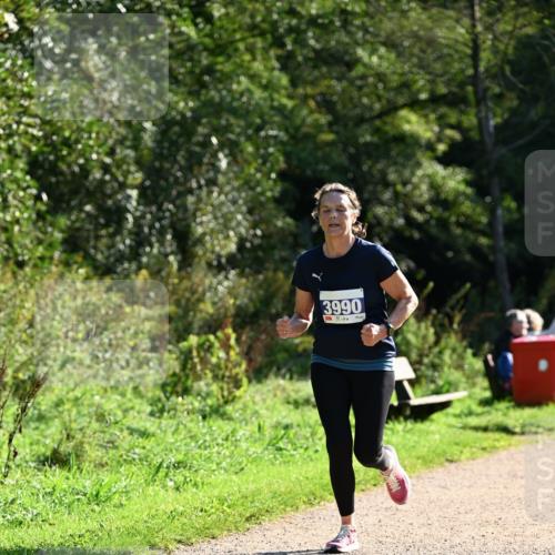 27.09.2026 - 35. Volkslauf durch das schöne Alstertal Dr. Thomas Lammeyer http://msf.ph/oto/10572625 27.09.2026 11:24:17 Laufen 3990 meine-sportfotos.de