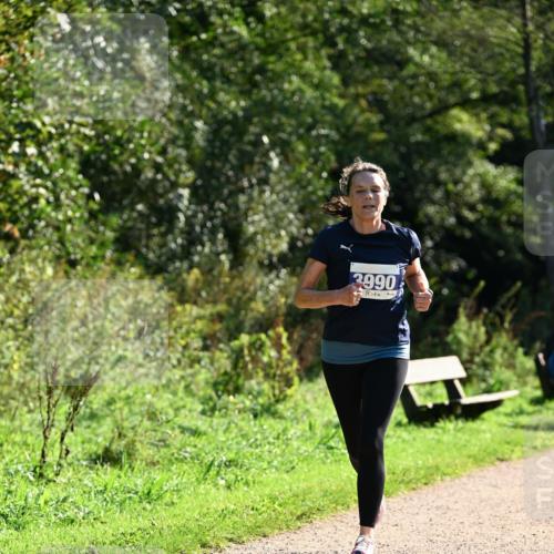 27.09.2026 - 35. Volkslauf durch das schöne Alstertal Dr. Thomas Lammeyer http://msf.ph/oto/10572628 27.09.2026 11:24:17 Laufen 3990 meine-sportfotos.de
