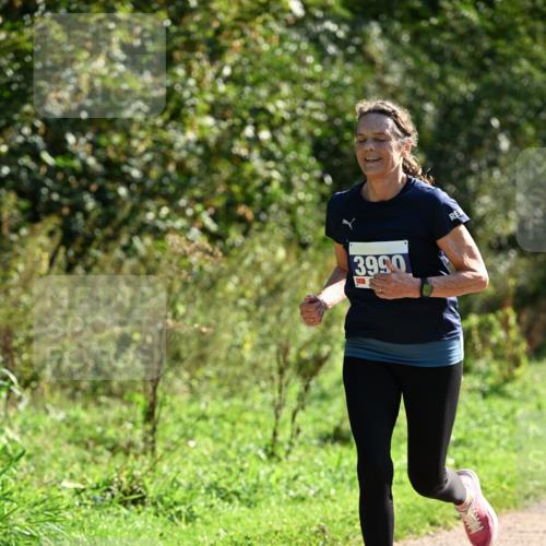 27.09.2026 - 35. Volkslauf durch das schöne Alstertal Dr. Thomas Lammeyer http://msf.ph/oto/10572638 27.09.2026 11:24:18 Laufen 3990 meine-sportfotos.de