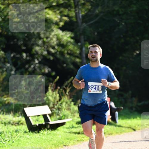 27.09.2026 - 35. Volkslauf durch das schöne Alstertal Dr. Thomas Lammeyer http://msf.ph/oto/10572667 27.09.2026 11:24:33 Laufen 3210 meine-sportfotos.de
