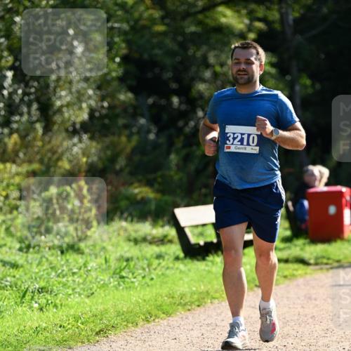 27.09.2026 - 35. Volkslauf durch das schöne Alstertal Dr. Thomas Lammeyer http://msf.ph/oto/10572677 27.09.2026 11:24:33 Laufen 3210 meine-sportfotos.de