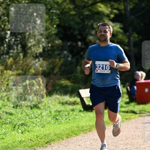 27.09.2026 - 35. Volkslauf durch das schöne Alstertal Dr. Thomas Lammeyer http://msf.ph/oto/10572678 27.09.2026 11:24:34 Laufen 3210, 1 meine-sportfotos.de