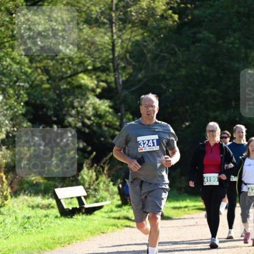27.09.2026 - 35. Volkslauf durch das schöne Alstertal Dr. Thomas Lammeyer http://msf.ph/oto/10572716 27.09.2026 11:24:40 Laufen 3241, 4199, 42 meine-sportfotos.de