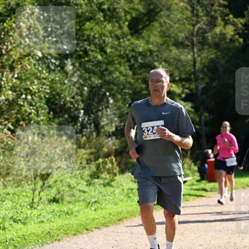 27.09.2026 - 35. Volkslauf durch das schöne Alstertal Dr. Thomas Lammeyer http://msf.ph/oto/10572731 27.09.2026 11:24:42 Laufen 324 meine-sportfotos.de