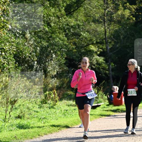27.09.2026 - 35. Volkslauf durch das schöne Alstertal Dr. Thomas Lammeyer http://msf.ph/oto/10572744 27.09.2026 11:24:44 Laufen 3020, 4199 meine-sportfotos.de