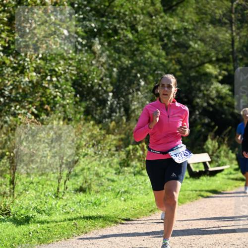 27.09.2026 - 35. Volkslauf durch das schöne Alstertal Dr. Thomas Lammeyer http://msf.ph/oto/10572753 27.09.2026 11:24:45 Laufen 8020 meine-sportfotos.de