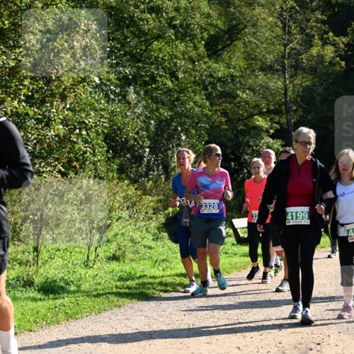 27.09.2026 - 35. Volkslauf durch das schöne Alstertal Dr. Thomas Lammeyer http://msf.ph/oto/10572768 27.09.2026 11:24:47 Laufen 34133328, 32, 4199 meine-sportfotos.de