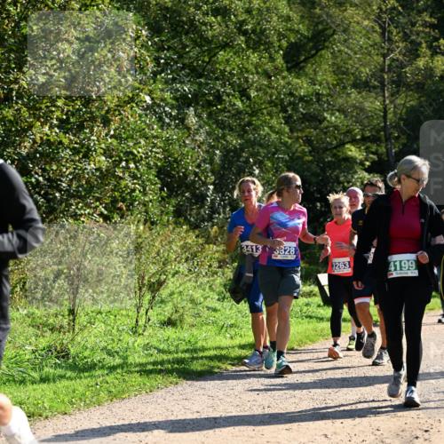 27.09.2026 - 35. Volkslauf durch das schöne Alstertal Dr. Thomas Lammeyer http://msf.ph/oto/10572770 27.09.2026 11:24:48 Laufen 3413, 5328, 3263, 4199 meine-sportfotos.de