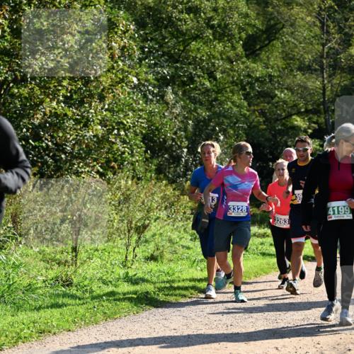 27.09.2026 - 35. Volkslauf durch das schöne Alstertal Dr. Thomas Lammeyer http://msf.ph/oto/10572771 27.09.2026 11:24:48 Laufen 13, 3328, 3263, 4199, 3 meine-sportfotos.de