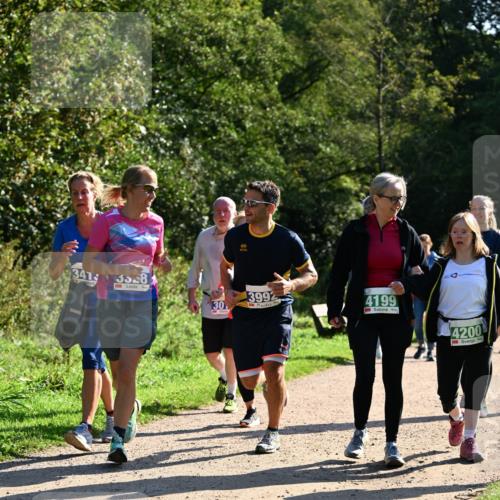 27.09.2026 - 35. Volkslauf durch das schöne Alstertal Dr. Thomas Lammeyer http://msf.ph/oto/10572780 27.09.2026 11:24:49 Laufen 341, 358, 3992, 30, 4199, 4200 meine-sportfotos.de