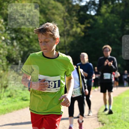 27.09.2026 - 35. Volkslauf durch das schöne Alstertal Dr. Thomas Lammeyer http://msf.ph/oto/10572790 27.09.2026 11:24:51 Laufen 991, 420 meine-sportfotos.de