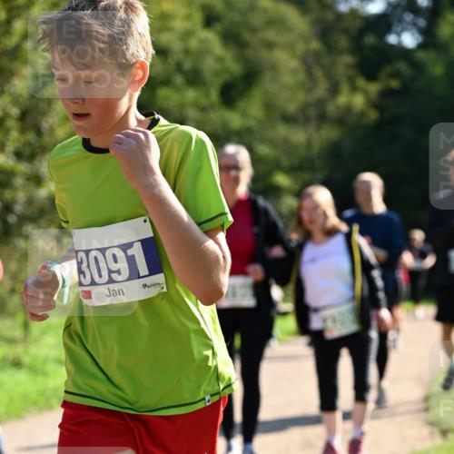 27.09.2026 - 35. Volkslauf durch das schöne Alstertal Dr. Thomas Lammeyer http://msf.ph/oto/10572793 27.09.2026 11:24:51 Laufen 3091 meine-sportfotos.de