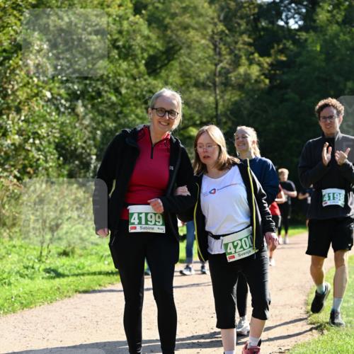 27.09.2026 - 35. Volkslauf durch das schöne Alstertal Dr. Thomas Lammeyer http://msf.ph/oto/10572800 27.09.2026 11:24:52 Laufen 4199, 4200, 4198 meine-sportfotos.de