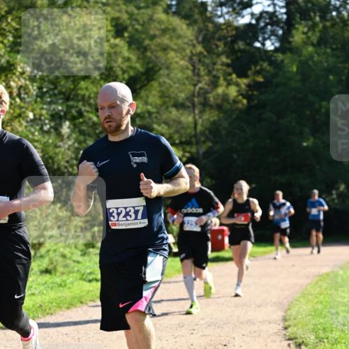 27.09.2026 - 35. Volkslauf durch das schöne Alstertal Dr. Thomas Lammeyer http://msf.ph/oto/10572824 27.09.2026 11:25:00 Laufen 3237 meine-sportfotos.de