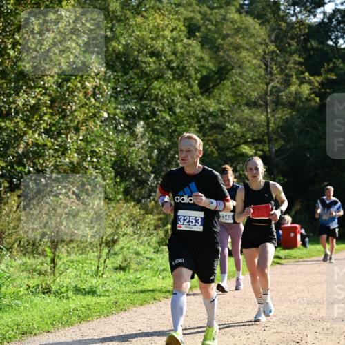 27.09.2026 - 35. Volkslauf durch das schöne Alstertal Dr. Thomas Lammeyer http://msf.ph/oto/10572833 27.09.2026 11:25:01 Laufen 3253, 3348, 199 meine-sportfotos.de