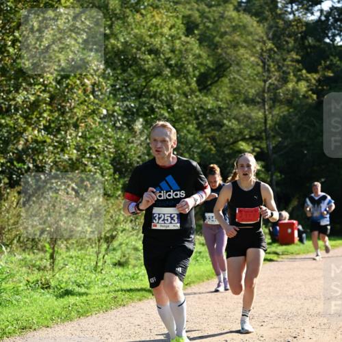 27.09.2026 - 35. Volkslauf durch das schöne Alstertal Dr. Thomas Lammeyer http://msf.ph/oto/10572836 27.09.2026 11:25:01 Laufen 3253, 12999, 334 meine-sportfotos.de