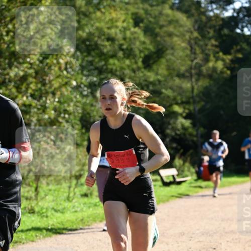 27.09.2026 - 35. Volkslauf durch das schöne Alstertal Dr. Thomas Lammeyer http://msf.ph/oto/10572842 27.09.2026 11:25:02 Laufen 999 meine-sportfotos.de