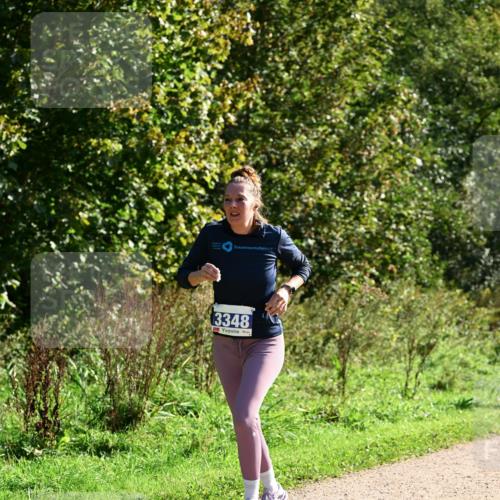 27.09.2026 - 35. Volkslauf durch das schöne Alstertal Dr. Thomas Lammeyer http://msf.ph/oto/10572847 27.09.2026 11:25:03 Laufen 3348 meine-sportfotos.de