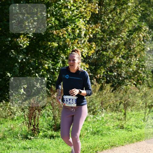 27.09.2026 - 35. Volkslauf durch das schöne Alstertal Dr. Thomas Lammeyer http://msf.ph/oto/10572849 27.09.2026 11:25:04 Laufen 3348 meine-sportfotos.de