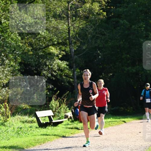 27.09.2026 - 35. Volkslauf durch das schöne Alstertal Dr. Thomas Lammeyer http://msf.ph/oto/10572871 27.09.2026 11:25:09 Laufen  meine-sportfotos.de