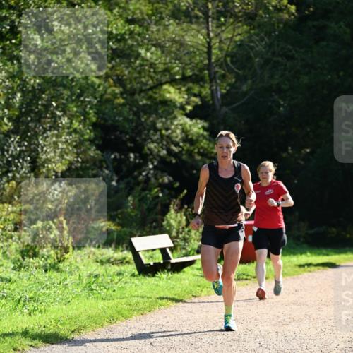 27.09.2026 - 35. Volkslauf durch das schöne Alstertal Dr. Thomas Lammeyer http://msf.ph/oto/10572875 27.09.2026 11:25:09 Laufen  meine-sportfotos.de