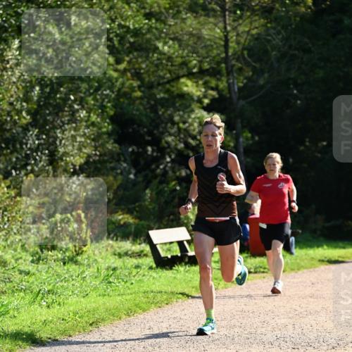 27.09.2026 - 35. Volkslauf durch das schöne Alstertal Dr. Thomas Lammeyer http://msf.ph/oto/10572878 27.09.2026 11:25:09 Laufen  meine-sportfotos.de